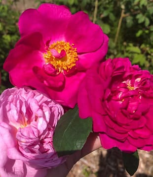 IMG-20230601-WA0026